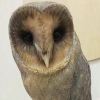 63E3443A-78C5-45FD-BF98-DAF0411A1581