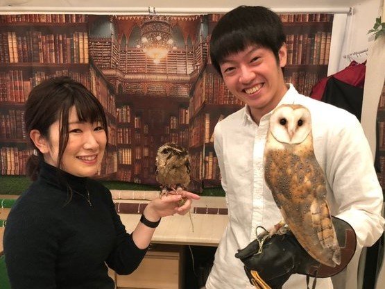 フクロウ は何を食べるの フクロウのみせblog フクロウ は何を食べるの フクロウのみせblog