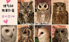 113A7411-C8F7-46A0-8614-21C19ABBF344