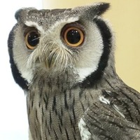 67CC9018-A62A-448F-8AF6-2997905362DD