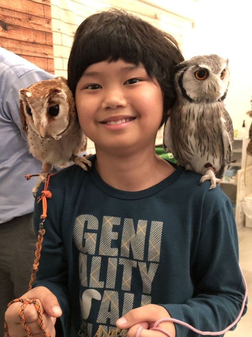 フクロウを感じるなら 肩乗せ フクロウのみせblog