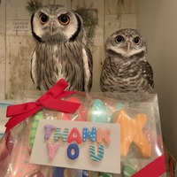 FC52C573-0799-4BE5-8C2E-2306CA7BBDF3