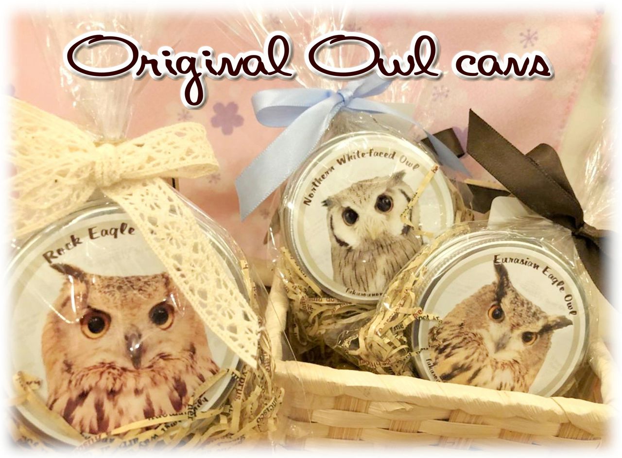 可愛いフクロウがデザインされてます フクロウのみせblog 可愛いフクロウがデザインされてます フクロウのみせblog