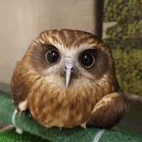 4389B854-BCE7-4F6E-B1EE-26684B0DEDEC