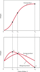 Total,_Average,_and_Marginal_Product