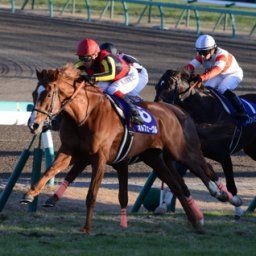 【競馬】サンデーレーシングと聞いて真っ先に思い浮かべた馬