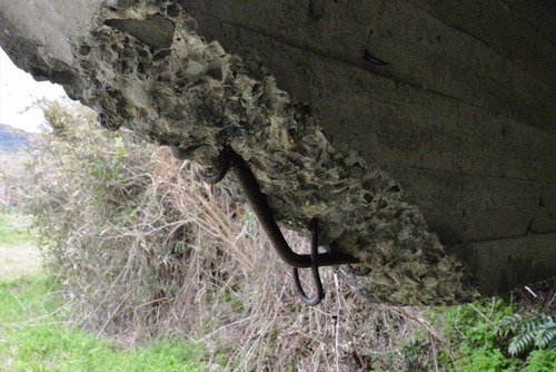 image10