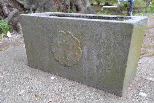 image6