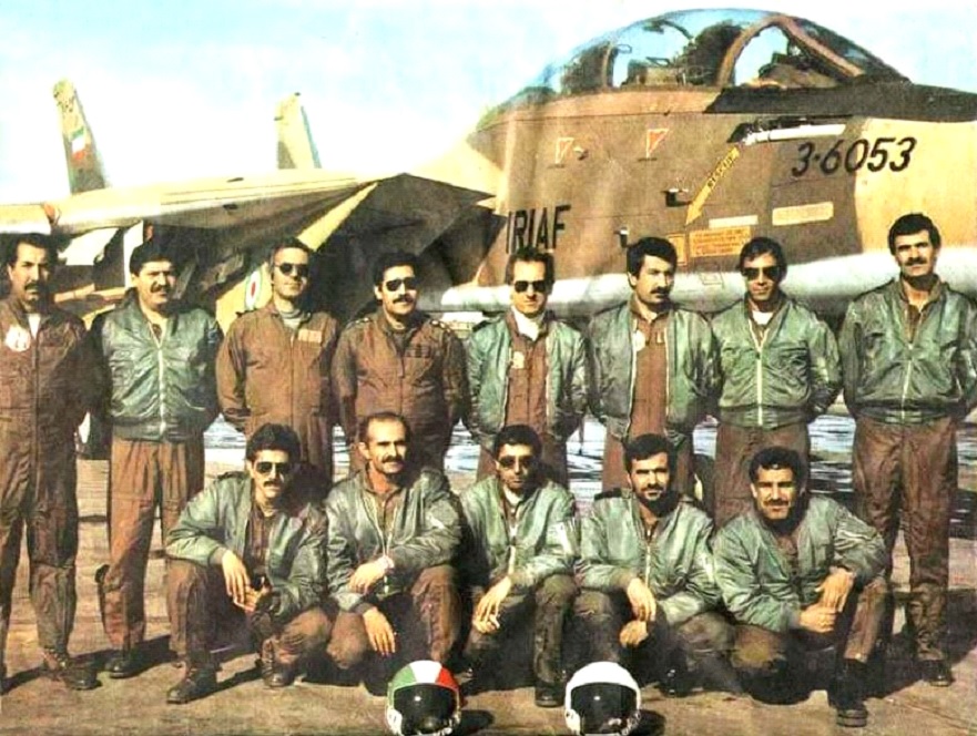 書評 紹介 ペルシャ猫の隠された大戦果 イラン空軍のf 14トム