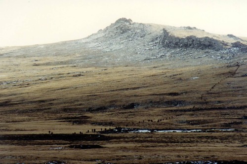 image001