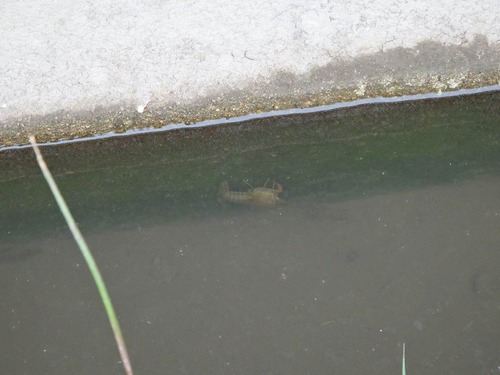 image017