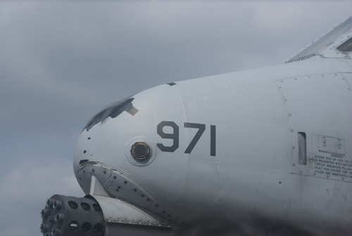 42
