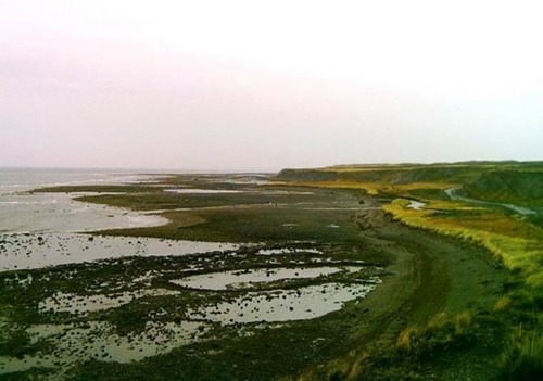 image003