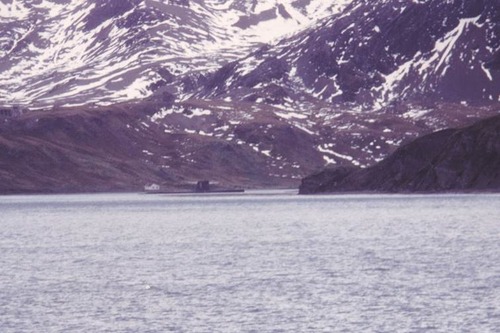 image003