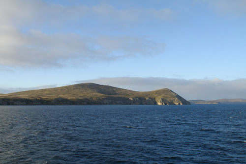 image005