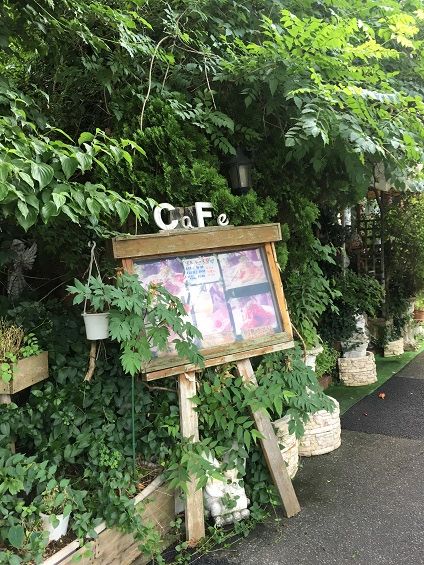 流山市南流山6 木の実 日々これ満腹 その２
