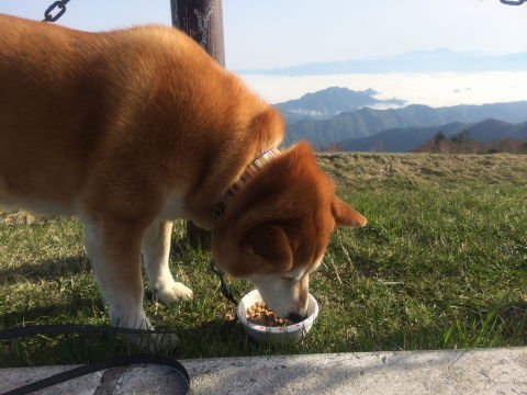 0003朝ごはん