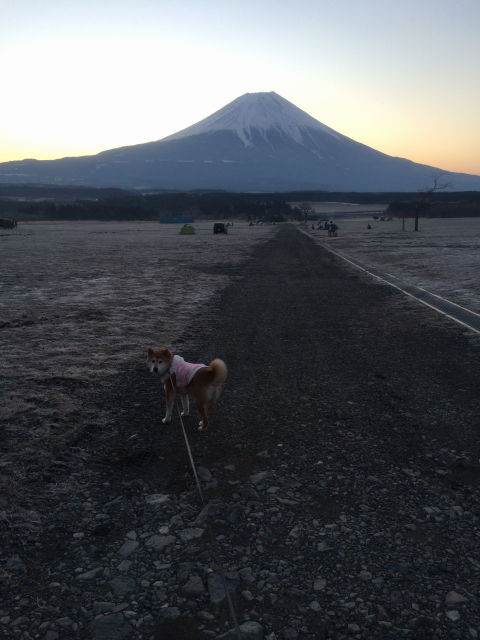 0004お散歩