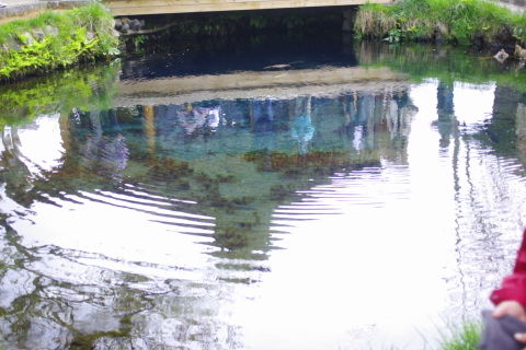 0007忍野八海