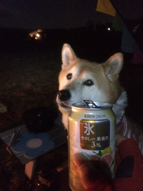 0011夕飯