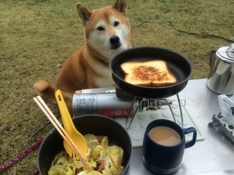 0013朝食