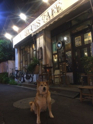 0008カフェとカリン