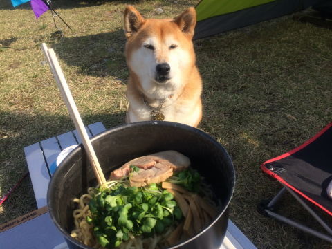 0008油そば