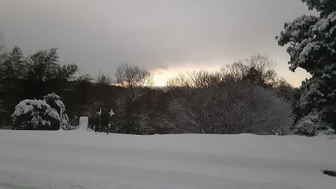 20230125_063836