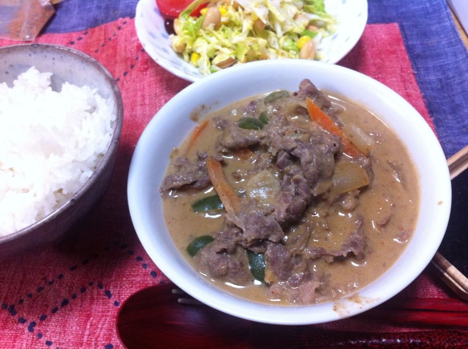 パナンカレー おやだまぶろぐ