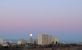 CA390992_1