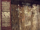 DSCF0072_1