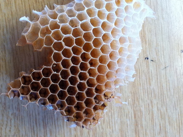 honeycomb