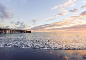 beach-641990_640