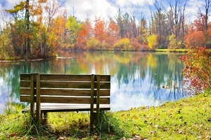wood-bench-986347_640