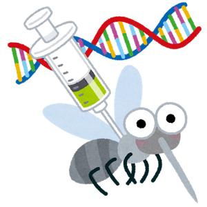 bug_ka_dna