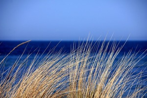 sea-193803_960_720