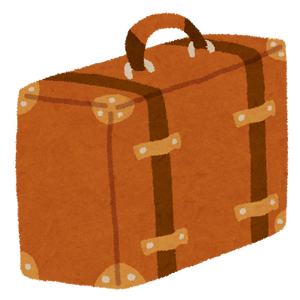 travel_bag