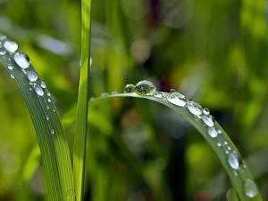 drip-1331703_640