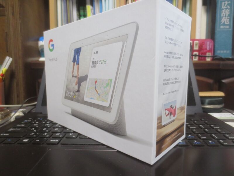 Google Nest Hub が壊れた 自然を満喫しよう
