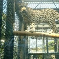 IMG_25042018_200723