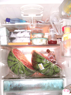 おやこぐらし。