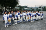 bluewings