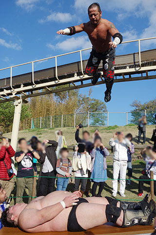 スーサイドダイブ