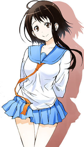 ニセコイ 小野寺小咲