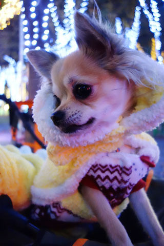 げんき