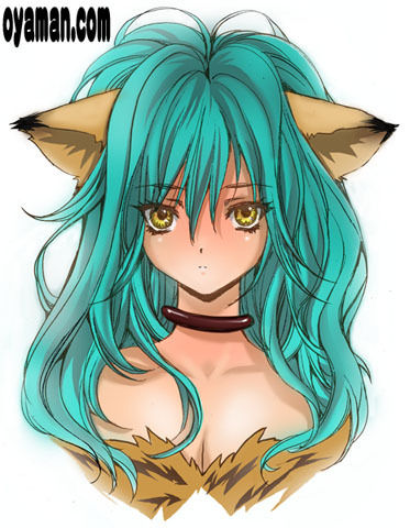 猫耳娘 カラー
