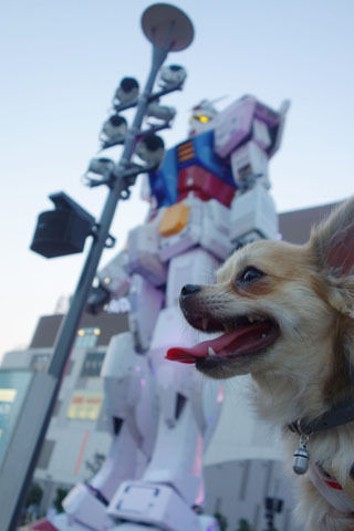 げんきとガンダム