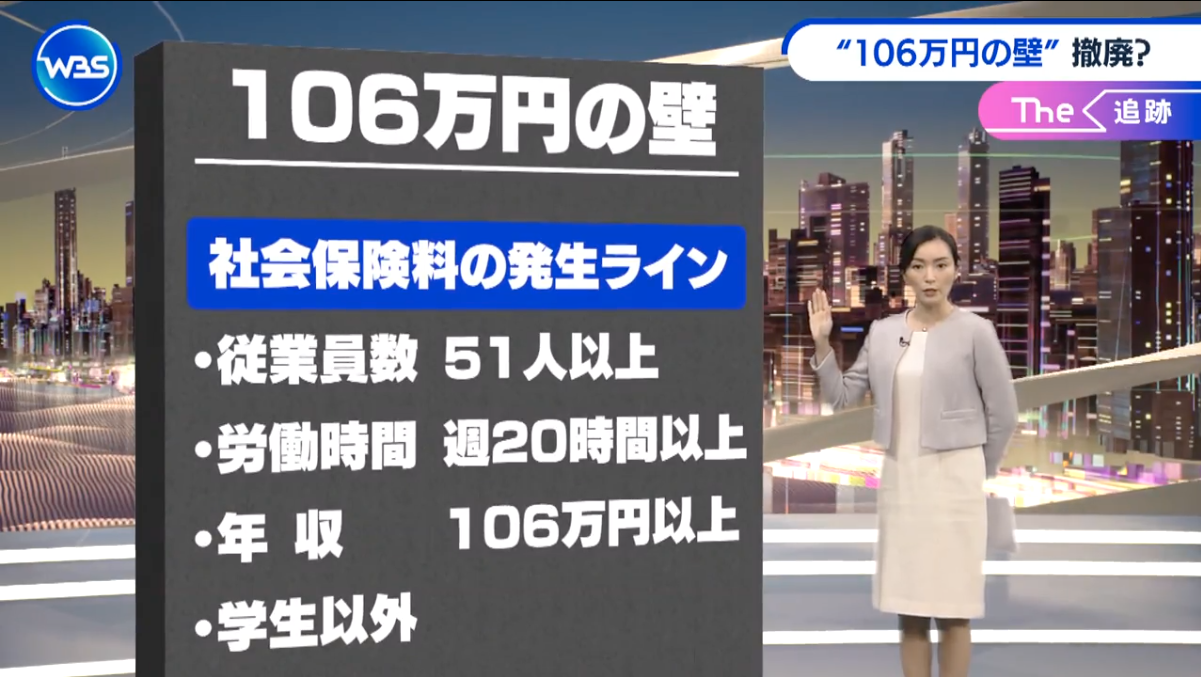 『106万円の壁 撤廃』についてまとめてみた : おかねの種