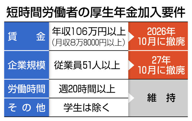 『106万円の壁 撤廃』についてまとめてみた : おかねの種