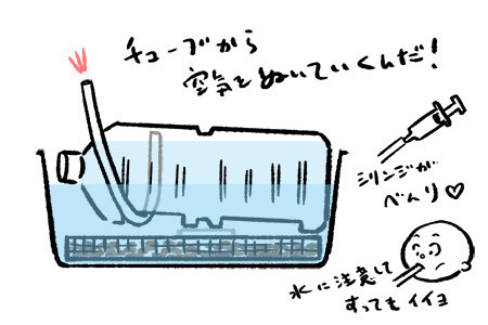 二階建てビオトープ作り方